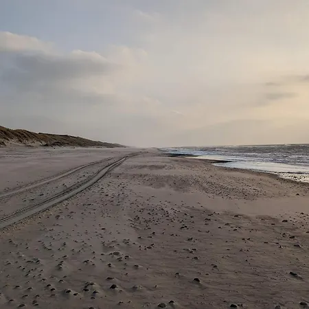 12 Person In Ulfborg-by Traum * Ulfborg